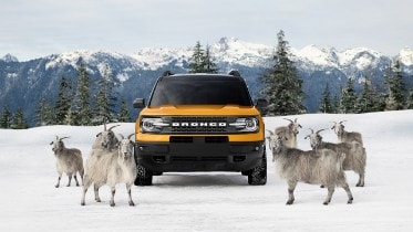 Bronco Sport Raised By Goats